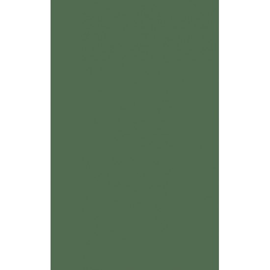 Χαρτόνι Κάνσον Α4 220gr - Πράσινο Σκούρο