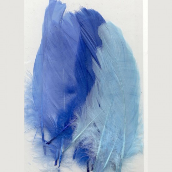 Φτερά blue 15,5-20cm 15τεμ