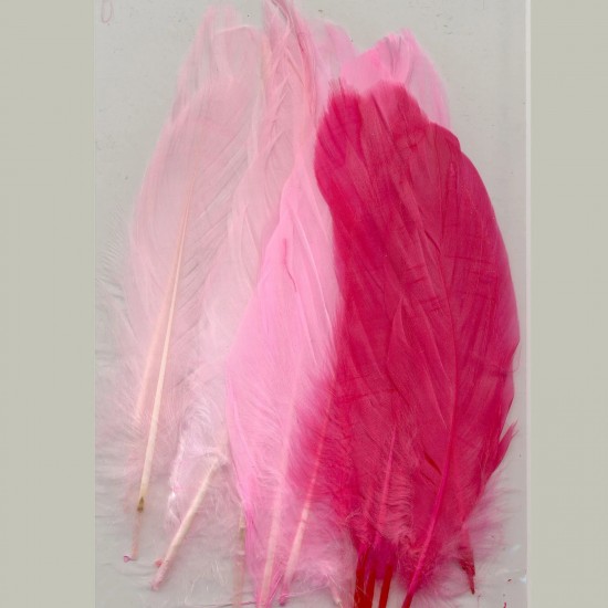 Φτερά pink 15,5-20cm 15τεμ