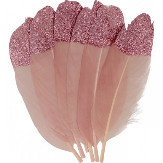 Dusty Pink Φτερά με glitter 6τεμ 11,5cm