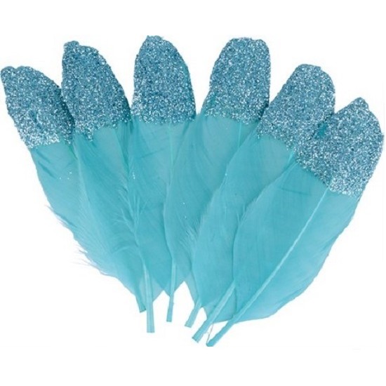 Γαλάζια Φτερά Με Glitter 6τεμ 11,5cm