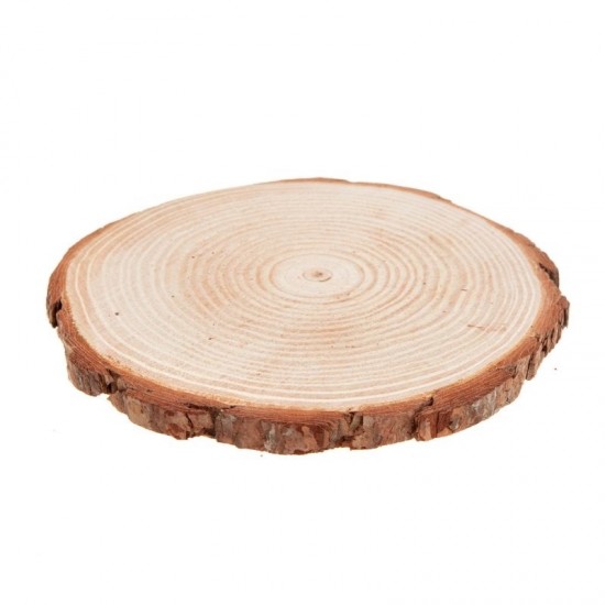 Κορμός ξύλου διάμετρος  19-21cm , πάχος 2cm 