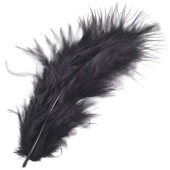Φτερά Μαραμπου 10cm 15τεμ -black