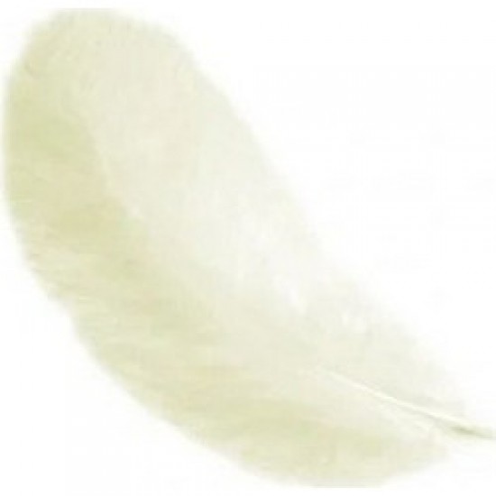 Φτερά Μαραμπου 10cm 15τεμ -  ζαχαρί