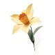 Bigz L Die Daffodil by Olivia Ros