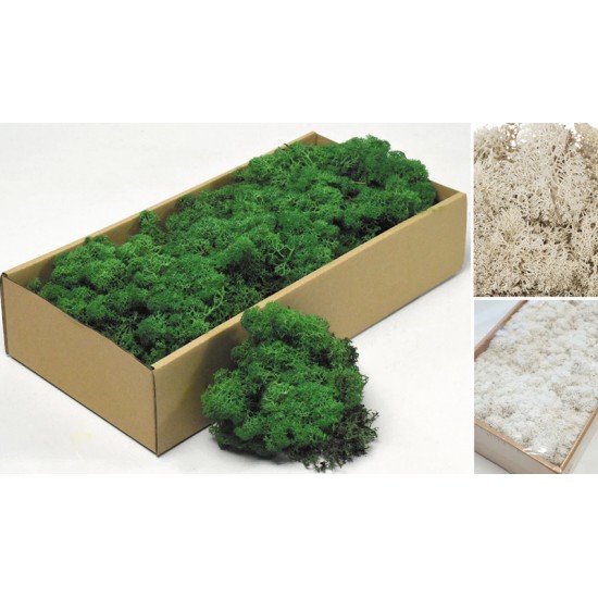 MOSS 500g