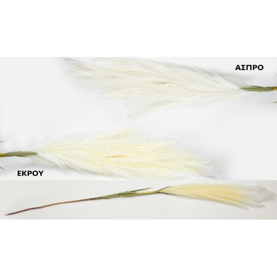 ΚΛΑΔΙ ΤΥΠΟΥ PAMPAS 120cm