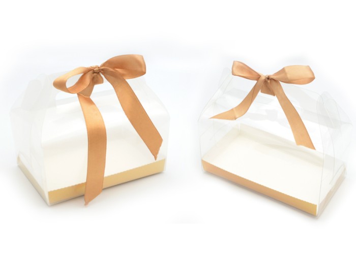 ΚΟΥΤΙ ΔΙΑΦΑΝΟ ΓΙΑ ΔΩΡΟ 19cm x 10cm x 9cm 0402221 ΚΟΥΤΙ ΔΙΑΦΑΝΟ ΓΙΑ ΔΩΡΟ 19cm x 10cm x 9cm 0402221
