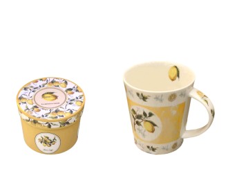 ΚΟΥΠΑ ΛΕΜΟΝΙΑ 280ml ΑΠΟ ΠΟΡΣΕΛΑΝΗ ΜΕ ΚΟΥΤΙ ΔΩΡΟΥ 0502731