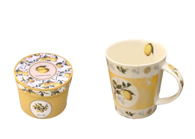 ΚΟΥΠΑ ΛΕΜΟΝΙΑ 280ml ΑΠΟ ΠΟΡΣΕΛΑΝΗ ΜΕ ΚΟΥΤΙ ΔΩΡΟΥ 0502731