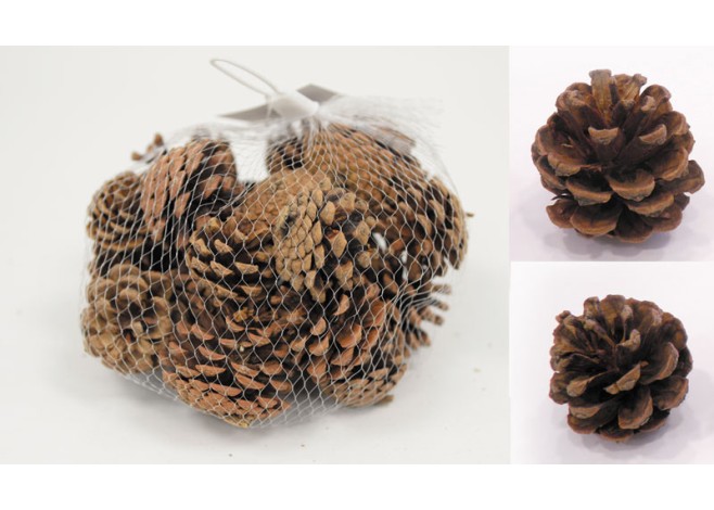 ΚΟΥΚΟΥΝΑΡΙ 5cm QF18A090 0.2kg 0513011