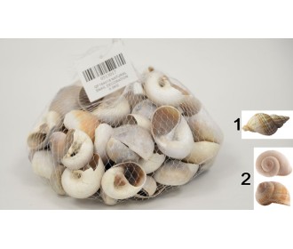 ΔΙΑΚΟΣΜΗΤΙΚΑ ΚΟΧΥΛΙΑ Νο17 QF18A018 0.5kg 0513017