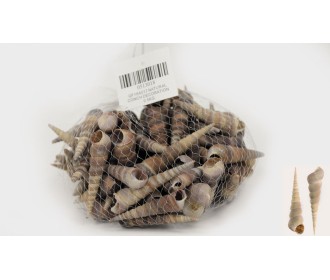 ΔΙΑΚΟΣΜΗΤΙΚΑ ΚΟΧΥΛΙΑ Νο18 QF18A017 0.5kg 0513018