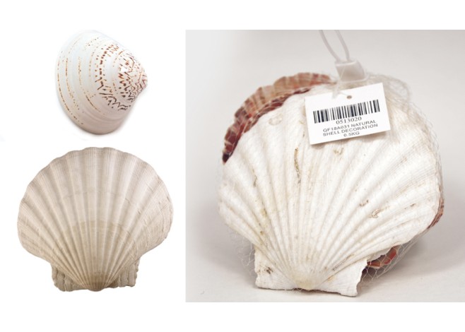 ΔΙΑΚΟΣΜΗΤΙΚΑ ΚΟΧΥΛΙΑ Νο20 QF18A031 0.5kg 0513020 ΔΙΑΚΟΣΜΗΤΙΚΑ ΚΟΧΥΛΙΑ Νο20 QF18A031 0.5kg 0513020