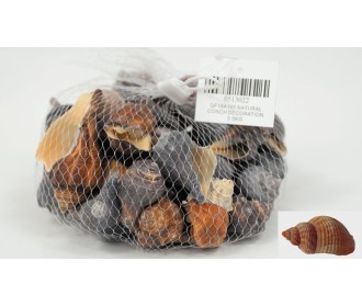 ΔΙΑΚΟΣΜΗΤΙΚΑ ΚΟΧΥΛΙΑ Νο22 QF18A101 0.5kg 0513022