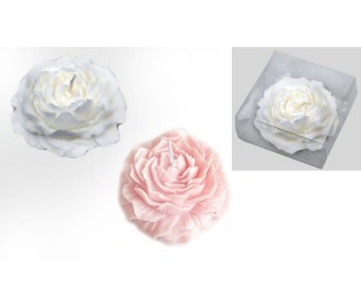 ΑΡΩΜΑΤΙΚΟ ΚΕΡΙ ΛΟΥΛΟΥΔΙ 3.5cm x 7.5cm 0515243 ΑΡΩΜΑΤΙΚΟ ΚΕΡΙ ΛΟΥΛΟΥΔΙ 3.5cm x 7.5cm 0515243