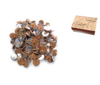 ΦΥΤΙΛΙΑ ΜΕ ΦΕΛΛΟ ΕΠΙΠΛΕΟΝΤΑ 50τεμ. 0515457