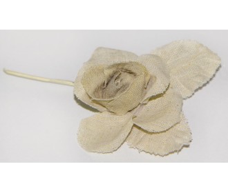 ΤΡΙΑΝΤΑΦΥΛΛΟ ΜΙΚΡΟ ΦΥΣΙΚΟ ΤΗΣ ΑΜΜΟΥ 0516009