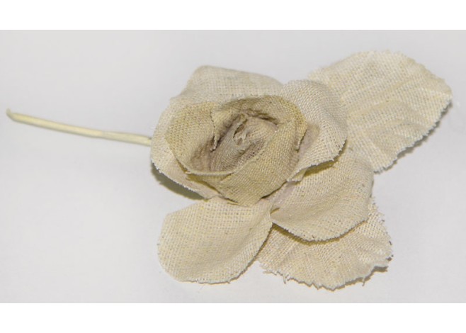 ΤΡΙΑΝΤΑΦΥΛΛΟ ΜΙΚΡΟ ΦΥΣΙΚΟ ΤΗΣ ΑΜΜΟΥ 0516009 ΤΡΙΑΝΤΑΦΥΛΛΟ ΜΙΚΡΟ ΦΥΣΙΚΟ ΤΗΣ ΑΜΜΟΥ 0516009