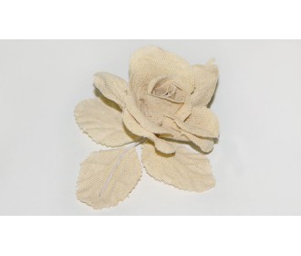 ΤΡΙΑΝΤΑΦΥΛΛΟ ΜΕΓΑΛΟ ΦΥΣΙΚΟ ΤΗΣ ΑΜΜΟΥ 0516010