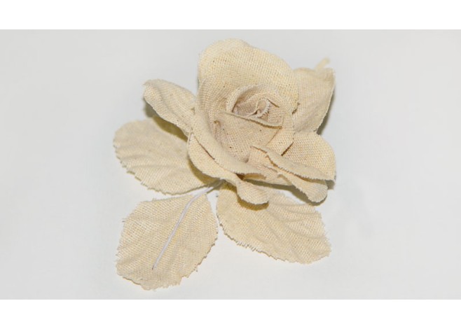 ΤΡΙΑΝΤΑΦΥΛΛΟ ΜΕΓΑΛΟ ΦΥΣΙΚΟ ΤΗΣ ΑΜΜΟΥ 0516010 ΤΡΙΑΝΤΑΦΥΛΛΟ ΜΕΓΑΛΟ ΦΥΣΙΚΟ ΤΗΣ ΑΜΜΟΥ 0516010