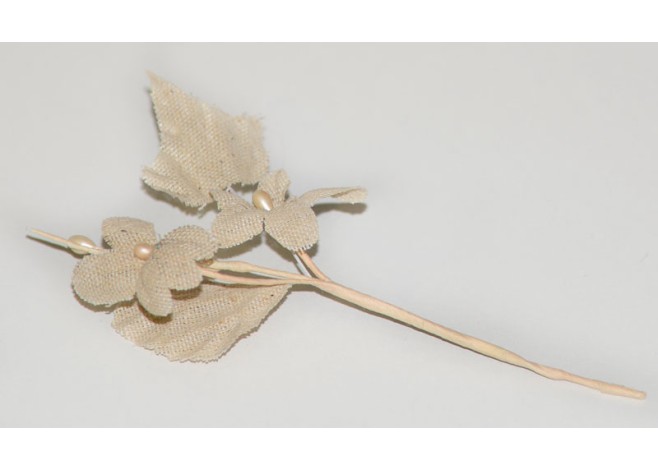 ΚΛΑΔΑΚΙ ΦΥΣΙΚΟ ΤΗΣ ΑΜΜΟΥ 0516011 ΚΛΑΔΑΚΙ ΦΥΣΙΚΟ ΤΗΣ ΑΜΜΟΥ 0516011