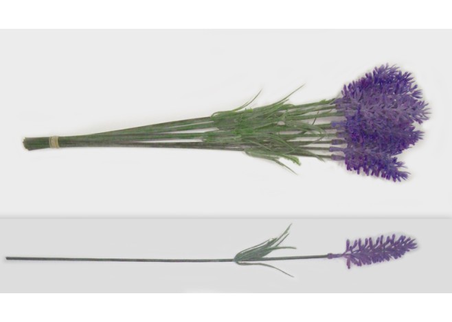 ΛΕΒΑΝΤΑ 32cm x 3cm 12ΤΕΜ/ΜΑΤΣΟ 0516013