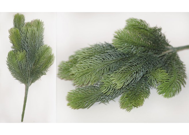 ΚΛΑΔΙ ΕΛΑΤΟ 40cm x 15cm 0516014 ΚΛΑΔΙ ΕΛΑΤΟ 40cm x 15cm 0516014