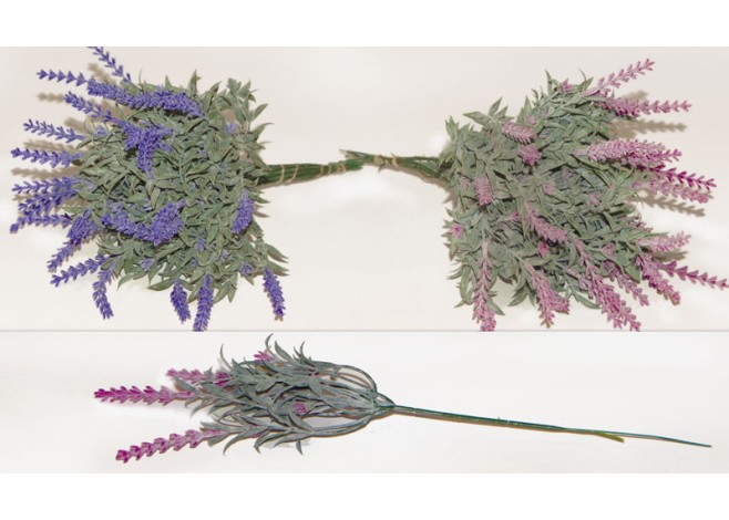 ΚΛΑΔΙ ΛΕΒΑΝΤΑ 0516016 ΚΛΑΔΙ ΛΕΒΑΝΤΑ 0516016