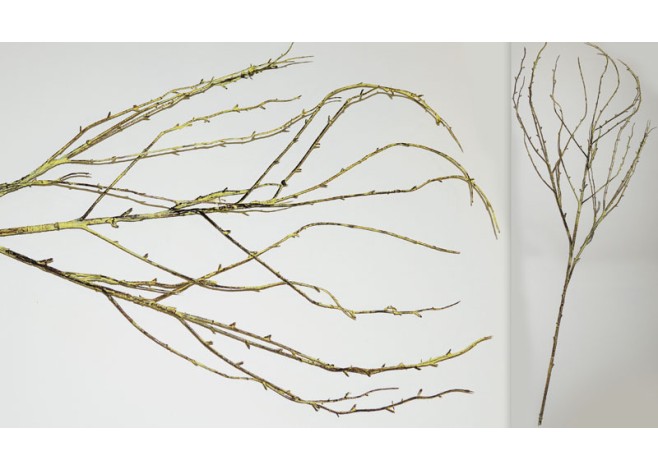 ΚΛΑΔΙ ΛΕΙΟ KB8808 90cm 0516021 ΚΛΑΔΙ ΛΕΙΟ KB8808 90cm 0516021