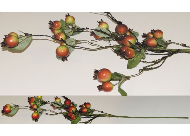 ΚΛΑΔΙ ΜΕ ΡΟΔΙΑ HY23289 75cm 0516024