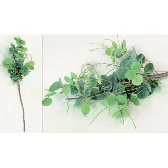 ΚΛΑΔΙ ΕΥΚΑΛΥΠΤΟΣ ΜΕΓΑΛΟ 15cm x 75cm 0516040