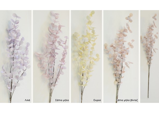 ΚΛΑΔΙ ΕΥΚΑΛΥΠΤΟΣ ΜΙΝΙ 43x6cm 0516043 ΚΛΑΔΙ ΕΥΚΑΛΥΠΤΟΣ ΜΙΝΙ 43x6cm 0516043