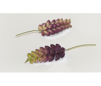 ΖΟΥΜΠΟΥΛΙ ΜΩΒ 0516048