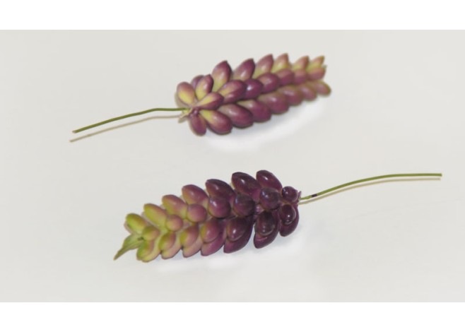 ΖΟΥΜΠΟΥΛΙ ΜΩΒ 0516048 ΖΟΥΜΠΟΥΛΙ ΜΩΒ 0516048