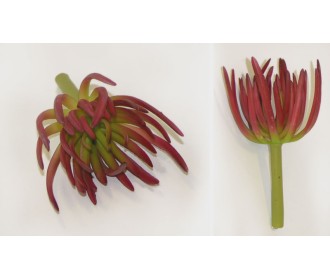 ΠΑΧΥΦΥΤΟ ΤΥΠΟΥ ΑΝΕΜΩΝΗ 18x10cm 0516056