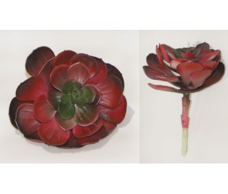 ΠΑΧΥΦΥΤΟ ΤΡΙΑΝΤΑΦΥΛΛΟ ΜΠΟΡΝΤΟ ΜΕΓΑΛΟ 12x14cm 0516058