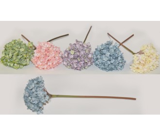 ΚΛΑΔΙ ΟΡΤΑΝΣΙΑ ΜΕΓΑΛΗ 16x50cm 0516059 ΚΛΑΔΙ ΟΡΤΑΝΣΙΑ ΜΕΓΑΛΗ 16x50cm 0516059