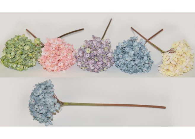 ΚΛΑΔΙ ΟΡΤΑΝΣΙΑ ΜΕΓΑΛΗ 16x50cm 0516059 ΚΛΑΔΙ ΟΡΤΑΝΣΙΑ ΜΕΓΑΛΗ 16x50cm 0516059