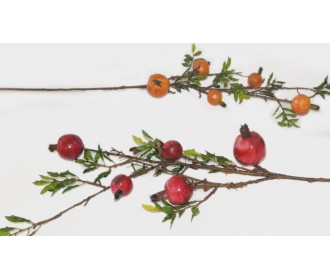 ΚΛΑΔΙ ΜΕΓΑΛΟ 5 ΡΟΔΙΑ 15x80cm 0516060