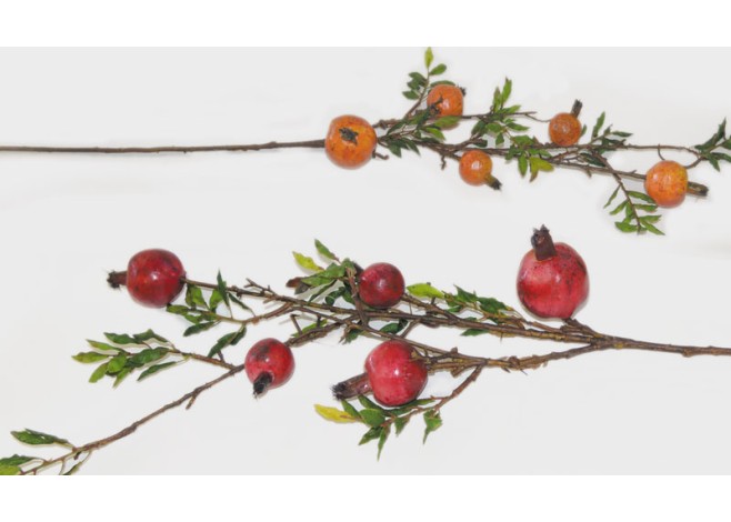 ΚΛΑΔΙ ΜΕΓΑΛΟ 5 ΡΟΔΙΑ 15x80cm 0516060