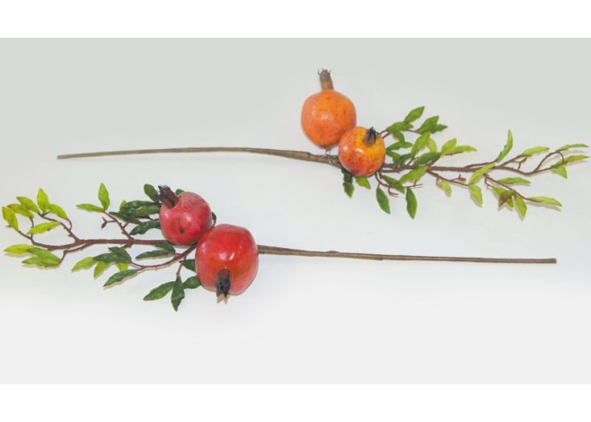 ΚΛΑΔΙ 2 ΡΟΔΙΑ 15x50cm 0516061 ΚΛΑΔΙ 2 ΡΟΔΙΑ 15x50cm 0516061