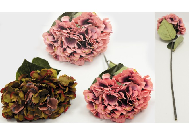 ΟΡΤΑΝΣΙΑ 97x20cm LDAU14-0022A1M 0516077