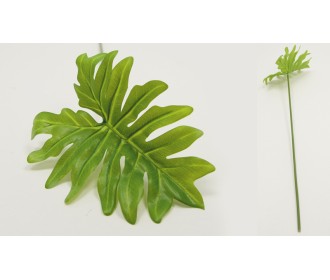 ΜΟΝΣΤΕΡΑ ΦΥΛΛΟ 50x15cm WB60-BJ/GN 0516078 ΜΟΝΣΤΕΡΑ ΦΥΛΛΟ 50x15cm WB60-BJ/GN 0516078