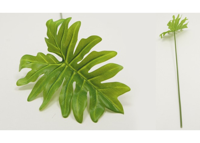 ΜΟΝΣΤΕΡΑ ΦΥΛΛΟ 50x15cm WB60-BJ/GN 0516078 ΜΟΝΣΤΕΡΑ ΦΥΛΛΟ 50x15cm WB60-BJ/GN 0516078