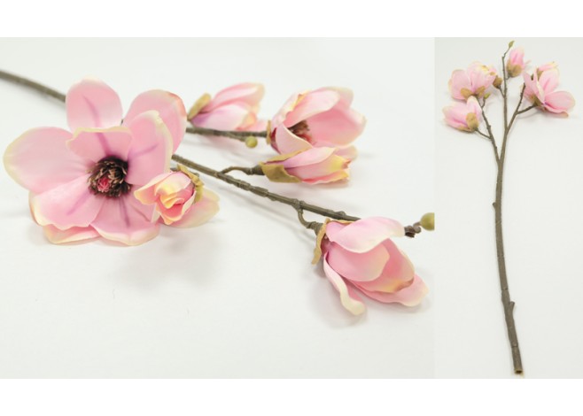 ΜΑΝΩΛΙΑ LD17-0149A1E-1 0516081