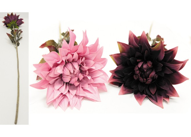 ΝΤΑΛΙΑ 106x51cm LD15-0201A5D 0516082