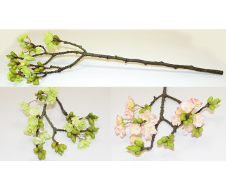 ΑΜΥΓΔΑΛΙΑ ΚΟΤΣΑΝΙ ΜΕΓΑΛΟ 0516084