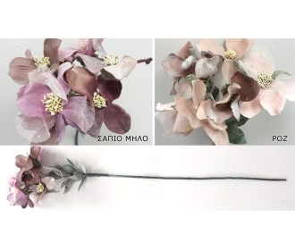 ΕΛΛΕΒΟΡΟΣ SDBF18123 0516094