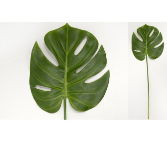 ΜΟΝΣΤΕΡΑ ΦΥΛΛΟ 50cm x 18cm 0516096 ΜΟΝΣΤΕΡΑ ΦΥΛΛΟ 50cm x 18cm 0516096